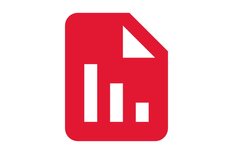 Report Icon